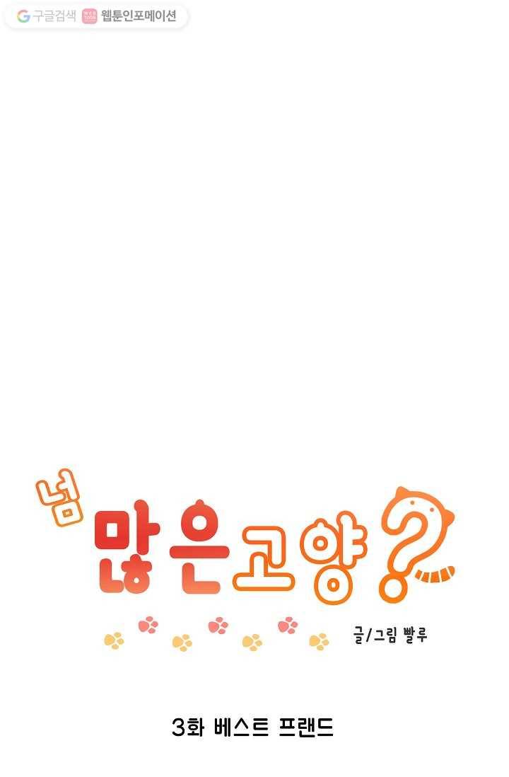 넘 많은 고양! 004화 1