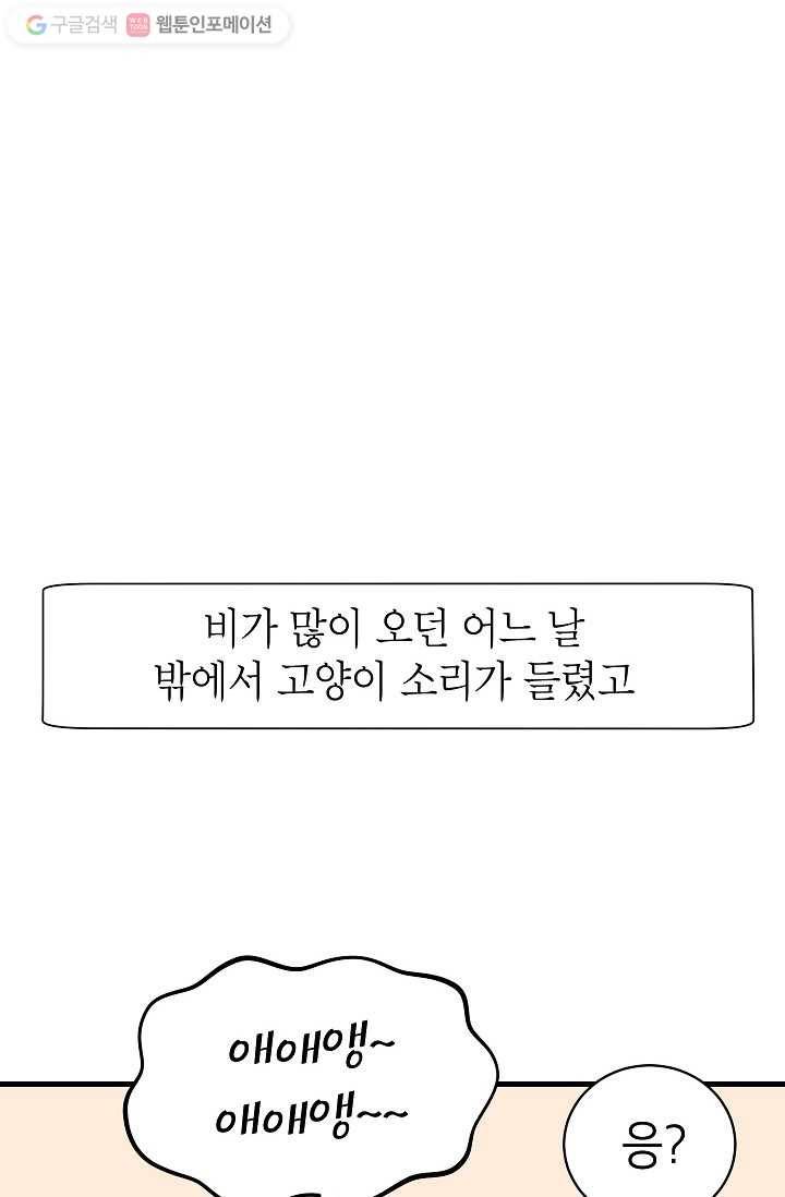넘 많은 고양! 004화 2