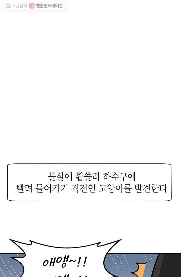 넘 많은 고양! 004화 5