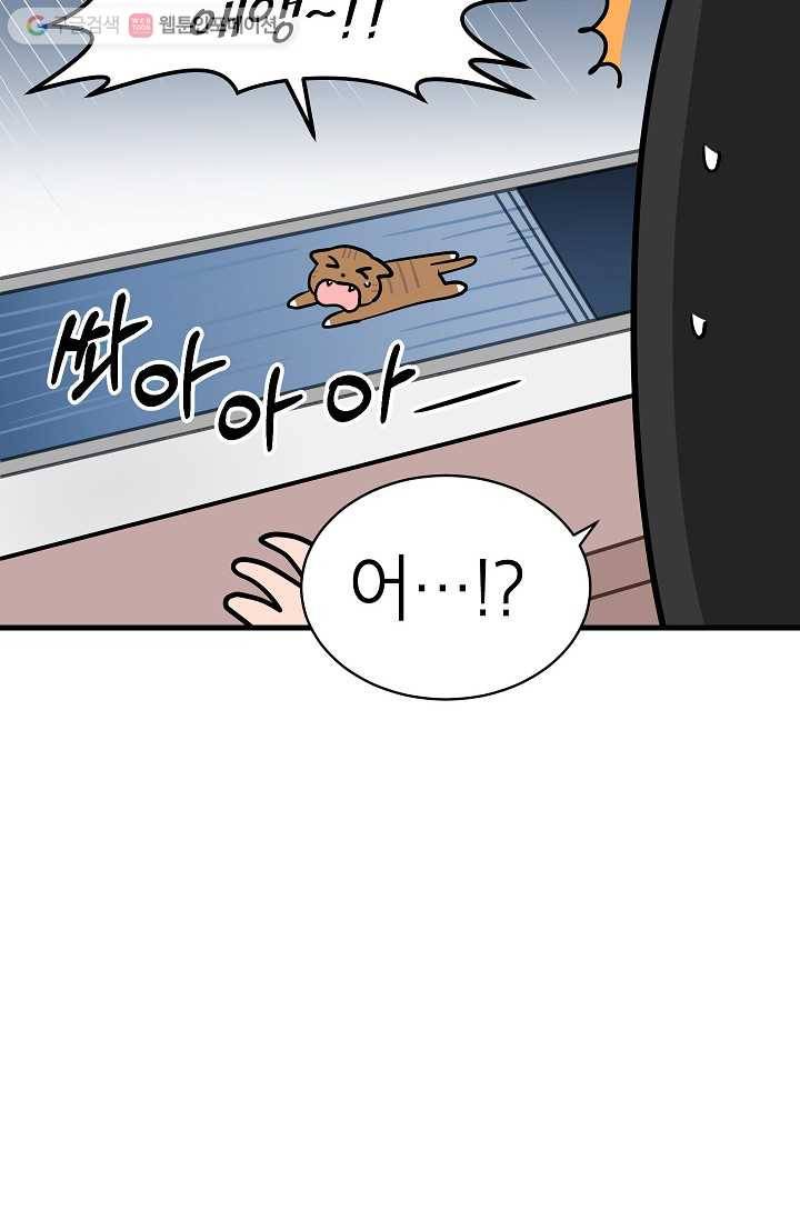 넘 많은 고양! 004화 6