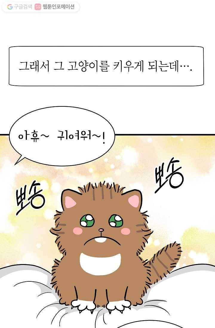 넘 많은 고양! 004화 7