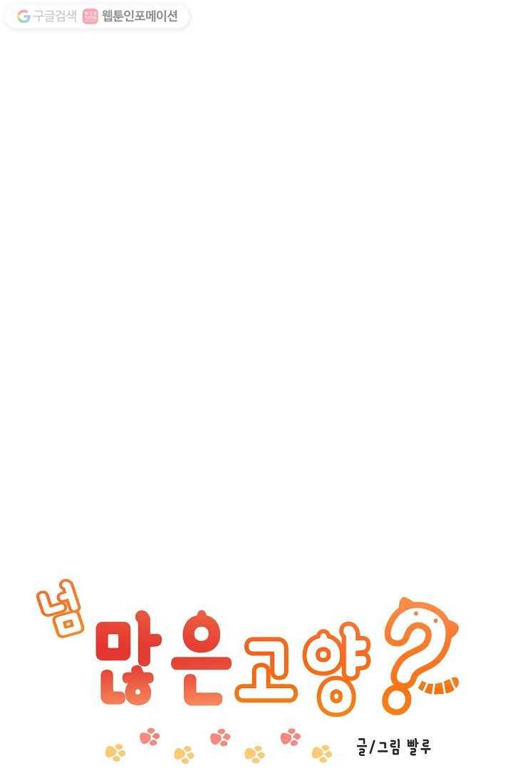 넘 많은 고양! 019화 1