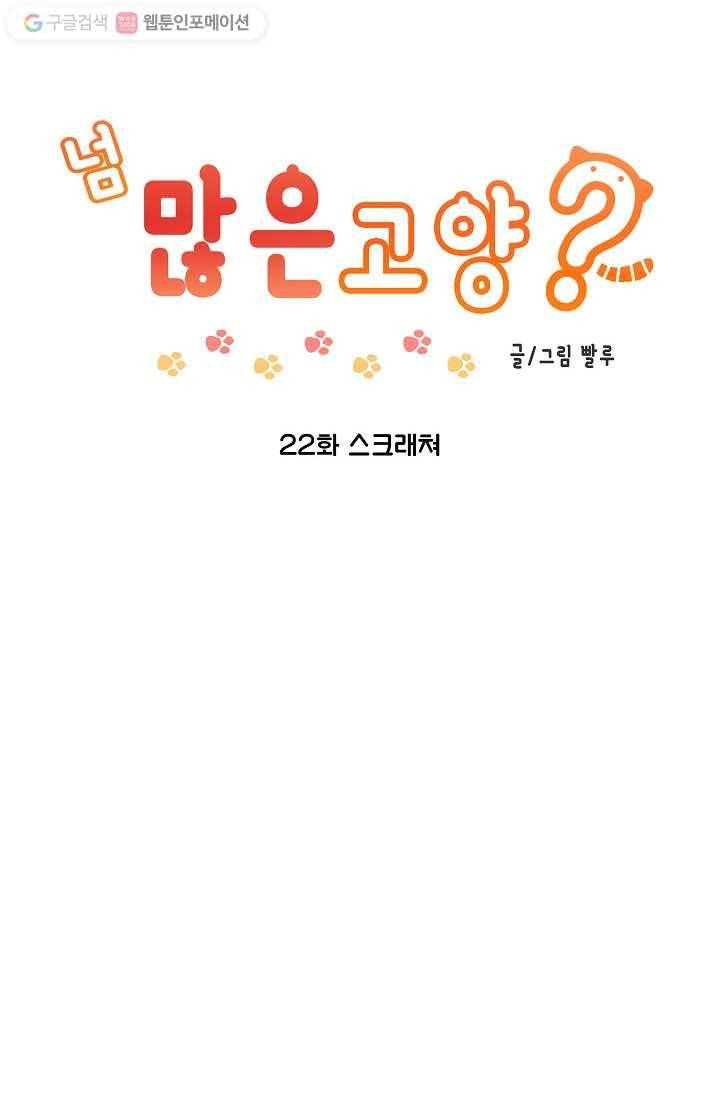 넘 많은 고양! 023화 2