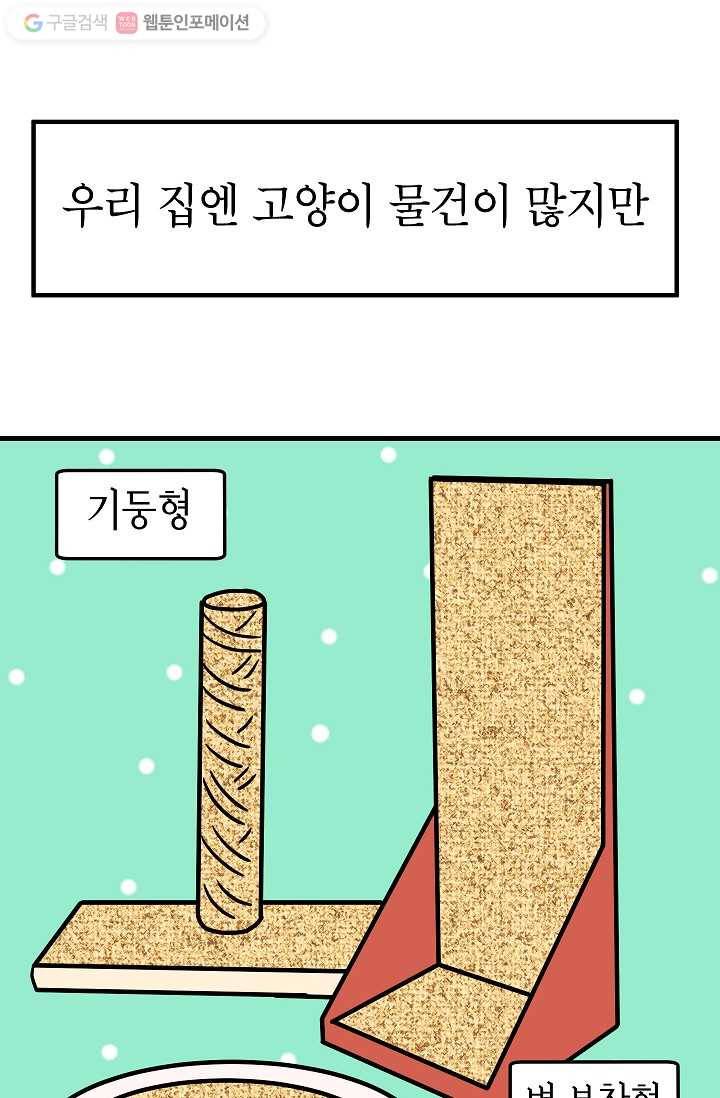 넘 많은 고양! 023화 3