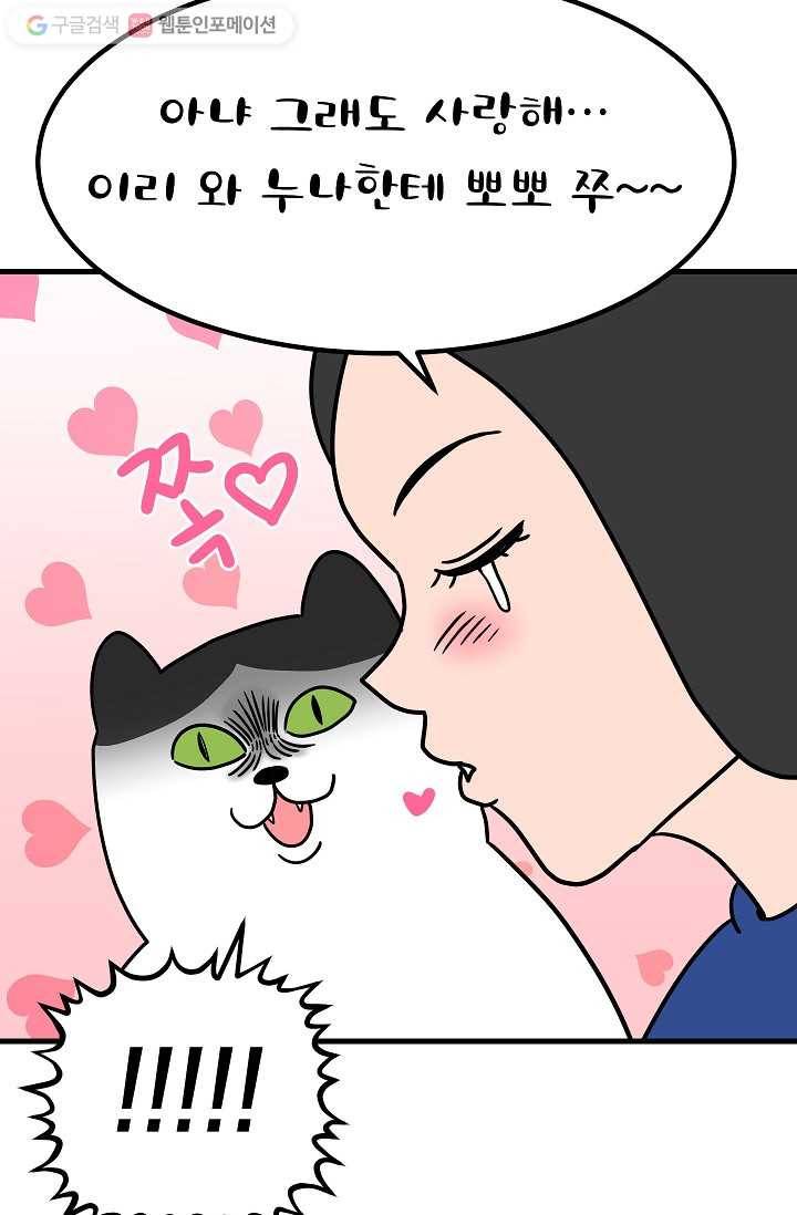 넘 많은 고양! 023화 7