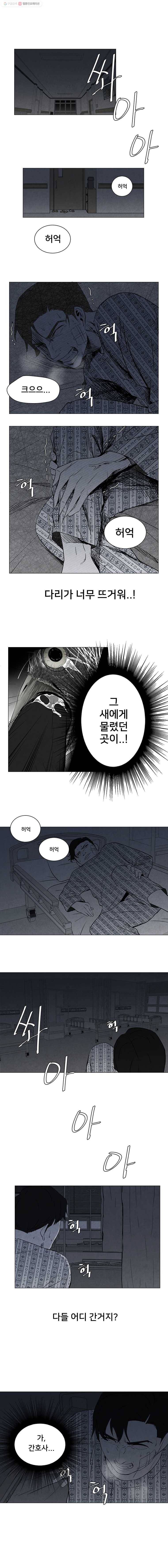 조류공포증 8화 14