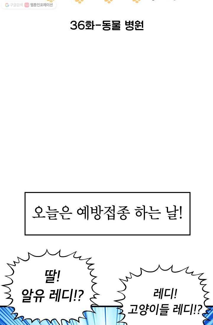 넘 많은 고양! 037화 2