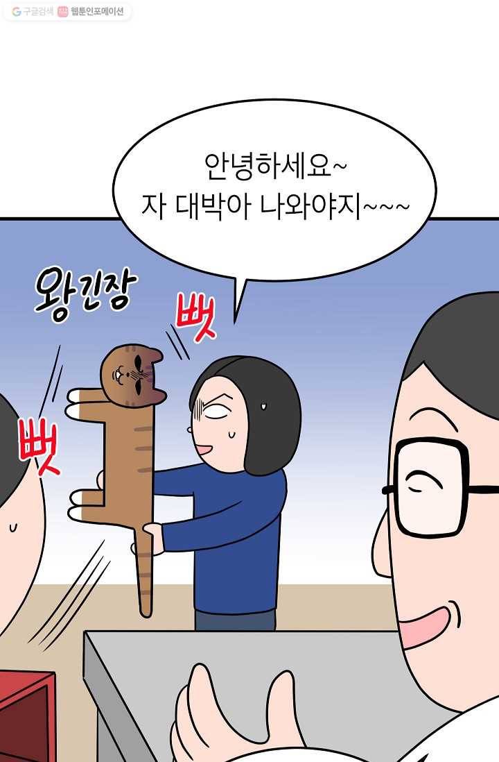 넘 많은 고양! 037화 7