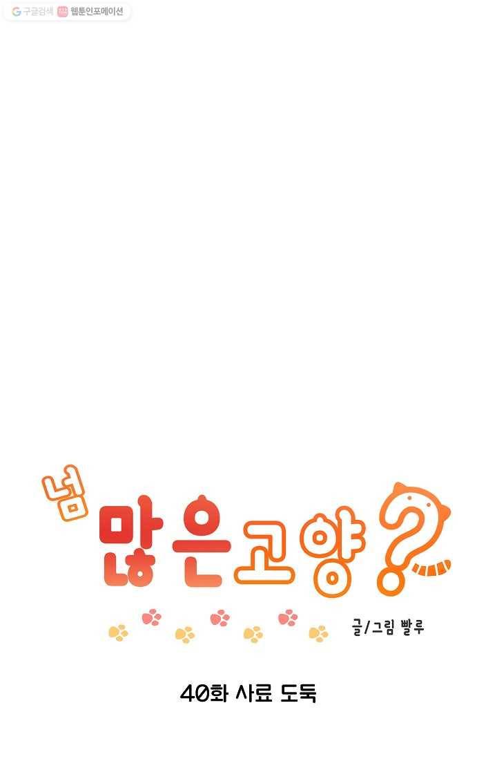 넘 많은 고양! 041화 1