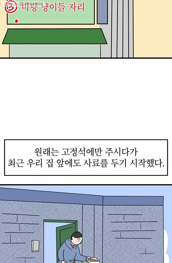 넘 많은 고양! 041화 3