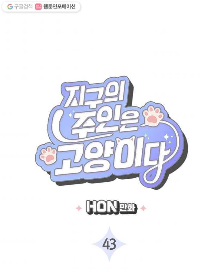 지구의 주인은 고양이다 43화 3