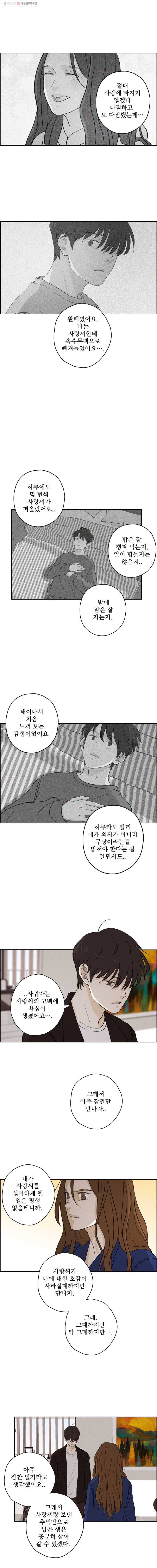 신랑이 사라졌다 14화 오해와 진실 사이 6