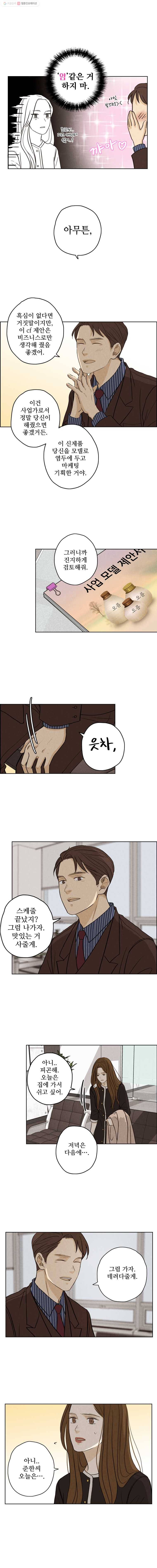 신랑이 사라졌다 22화 옛 남자 9