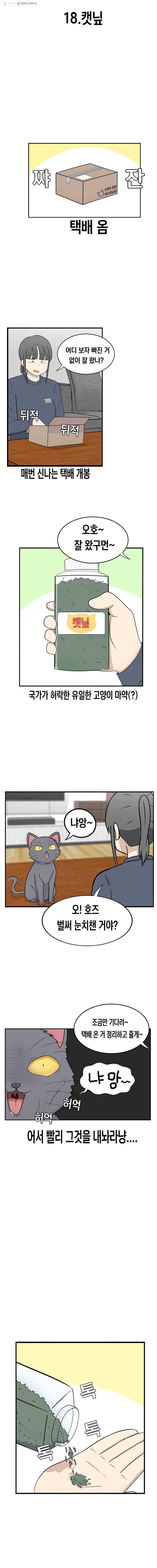 냥냐라냥냥 18.캣닢 2