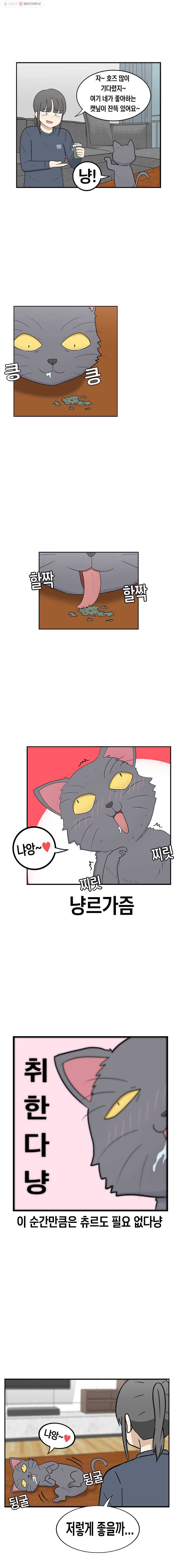 냥냐라냥냥 18.캣닢 3
