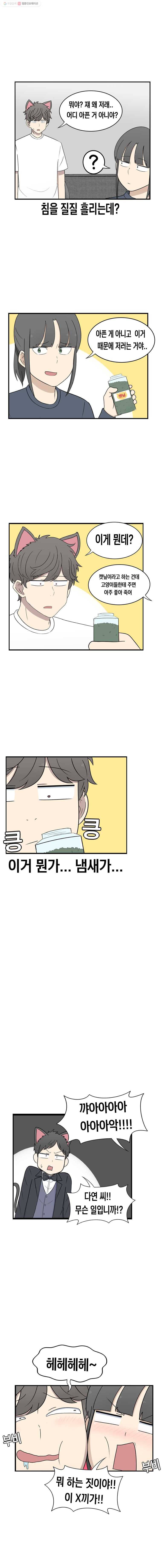 냥냐라냥냥 18.캣닢 4