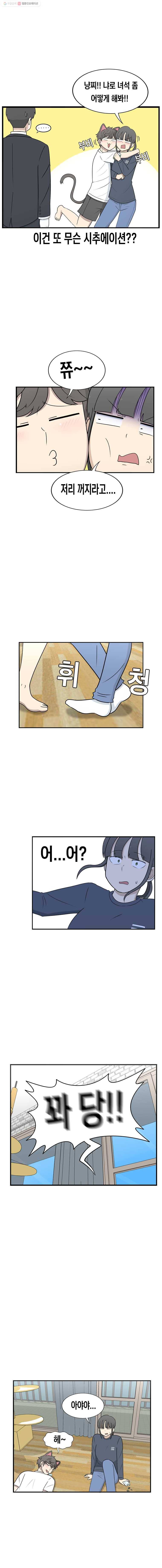 냥냐라냥냥 18.캣닢 5