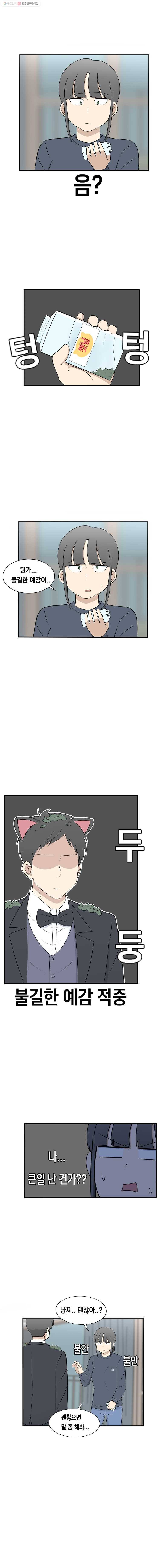 냥냐라냥냥 18.캣닢 6