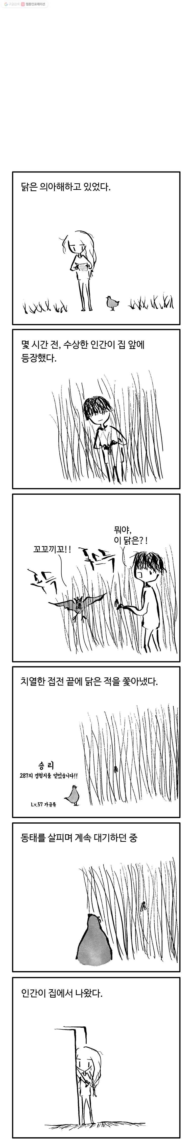 닭은 의외로 위대하다 21화 3.나는 네가 지난 여름에 한 일을 알고 있다 7 1