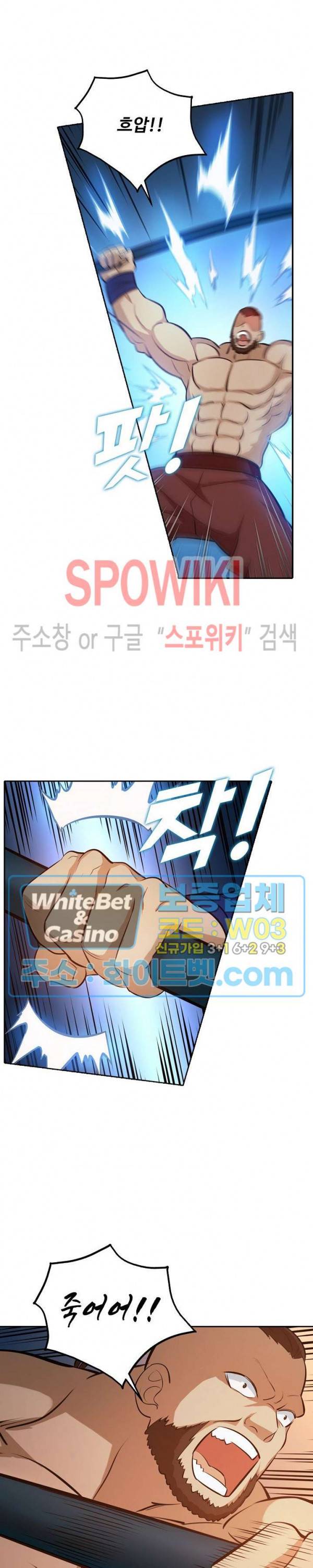 백련성신 320화 13