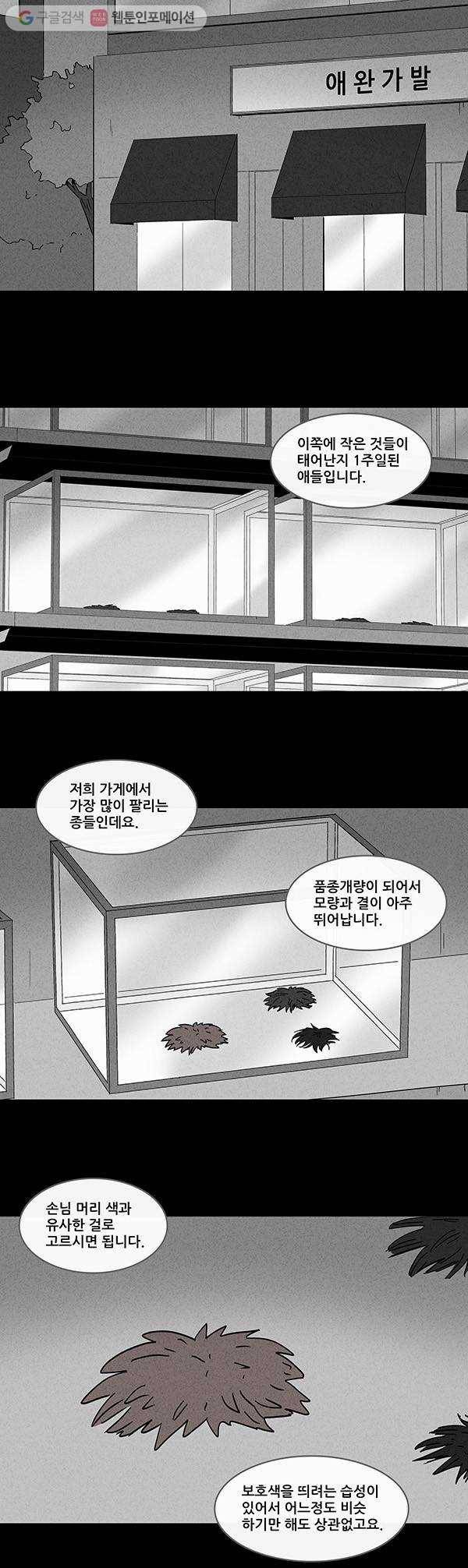 기기괴괴 135화 애완가발 1 2