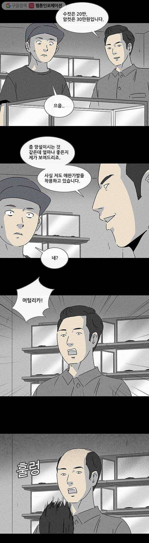 기기괴괴 135화 애완가발 1 3