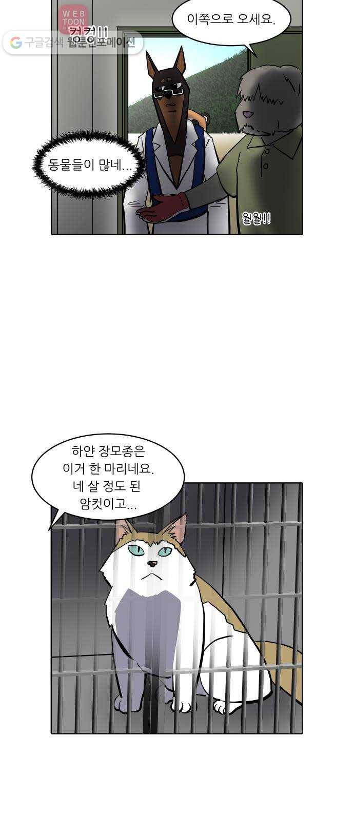 닥터앤닥터 육아일기 113. 반려동물 4 7
