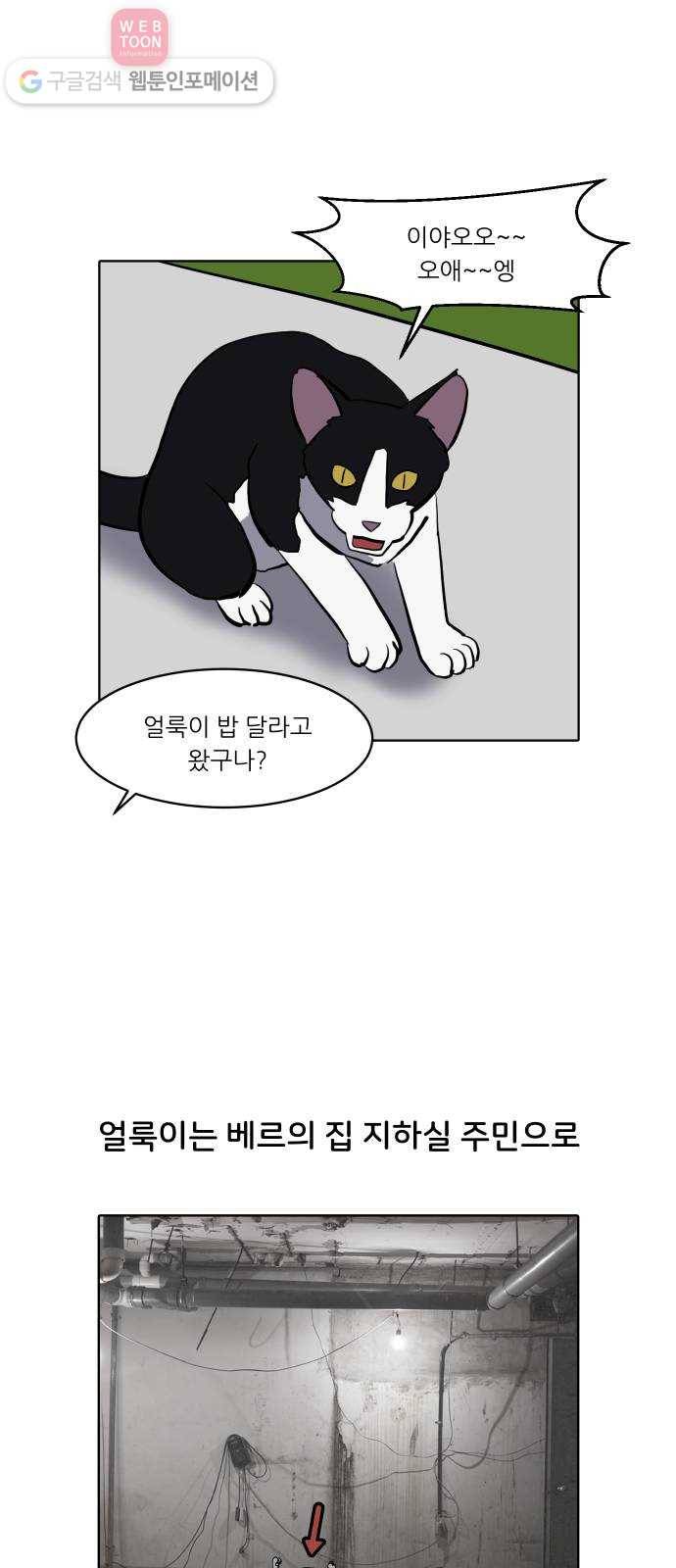 닥터앤닥터 육아일기 113. 반려동물 4 11
