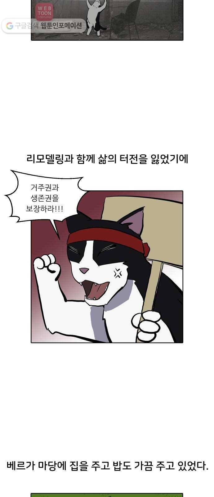 닥터앤닥터 육아일기 113. 반려동물 4 12