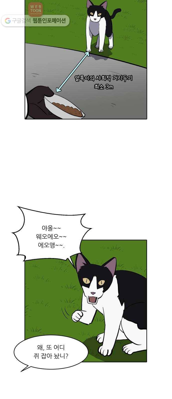 닥터앤닥터 육아일기 113. 반려동물 4 13