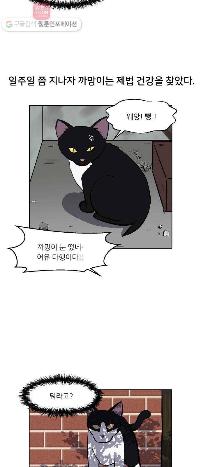 닥터앤닥터 육아일기 113. 반려동물 4 17