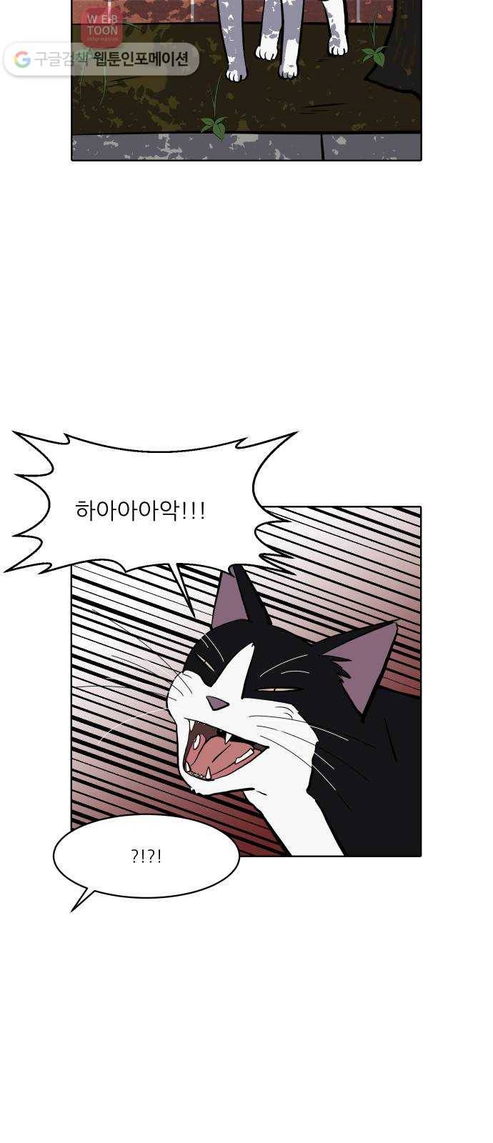 닥터앤닥터 육아일기 113. 반려동물 4 18