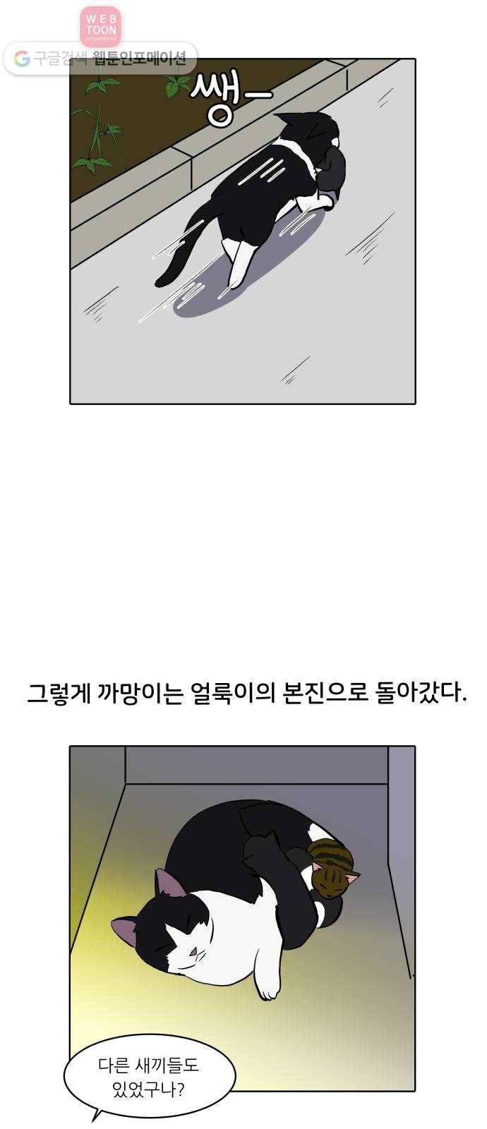 닥터앤닥터 육아일기 113. 반려동물 4 19