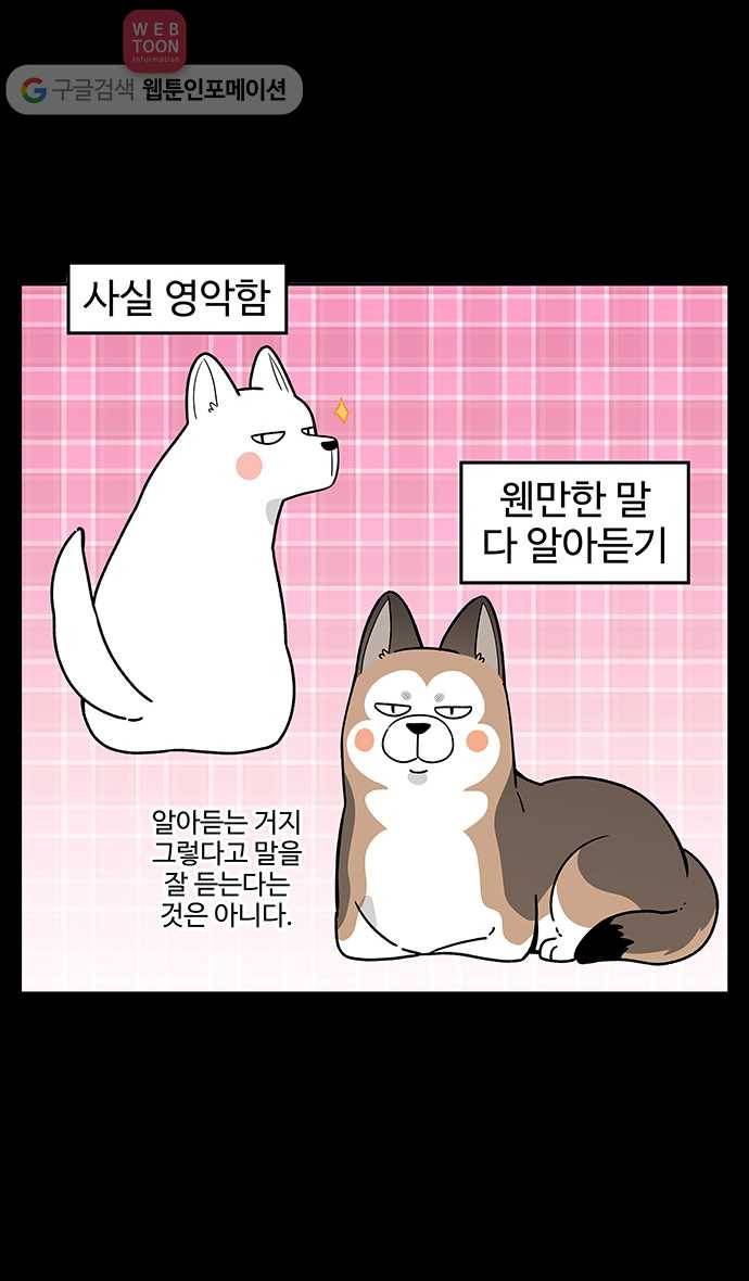 노곤하개 21화 멍냥이의 반전매력 3