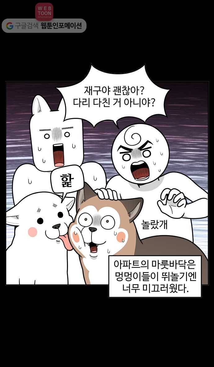 노곤하개 시즌2 2화 멍멍이가 넘어졌다?! 3