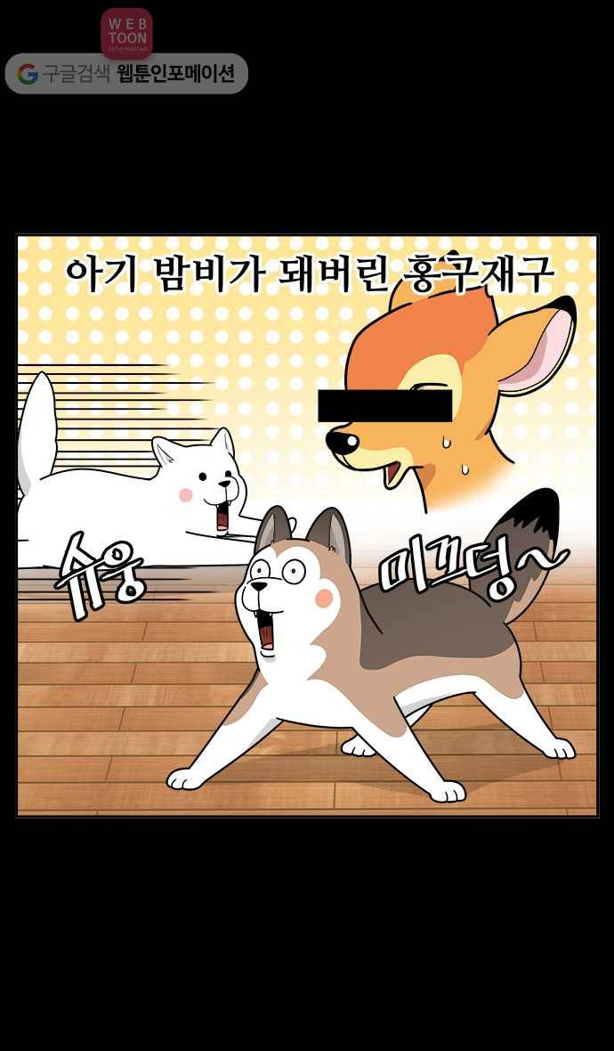 노곤하개 시즌2 2화 멍멍이가 넘어졌다?! 4