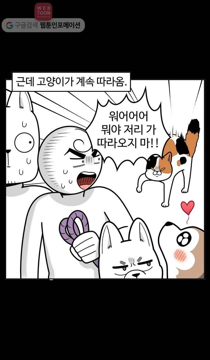 노곤하개 시즌2 8화 도시공원의 고양이들 (2) 5