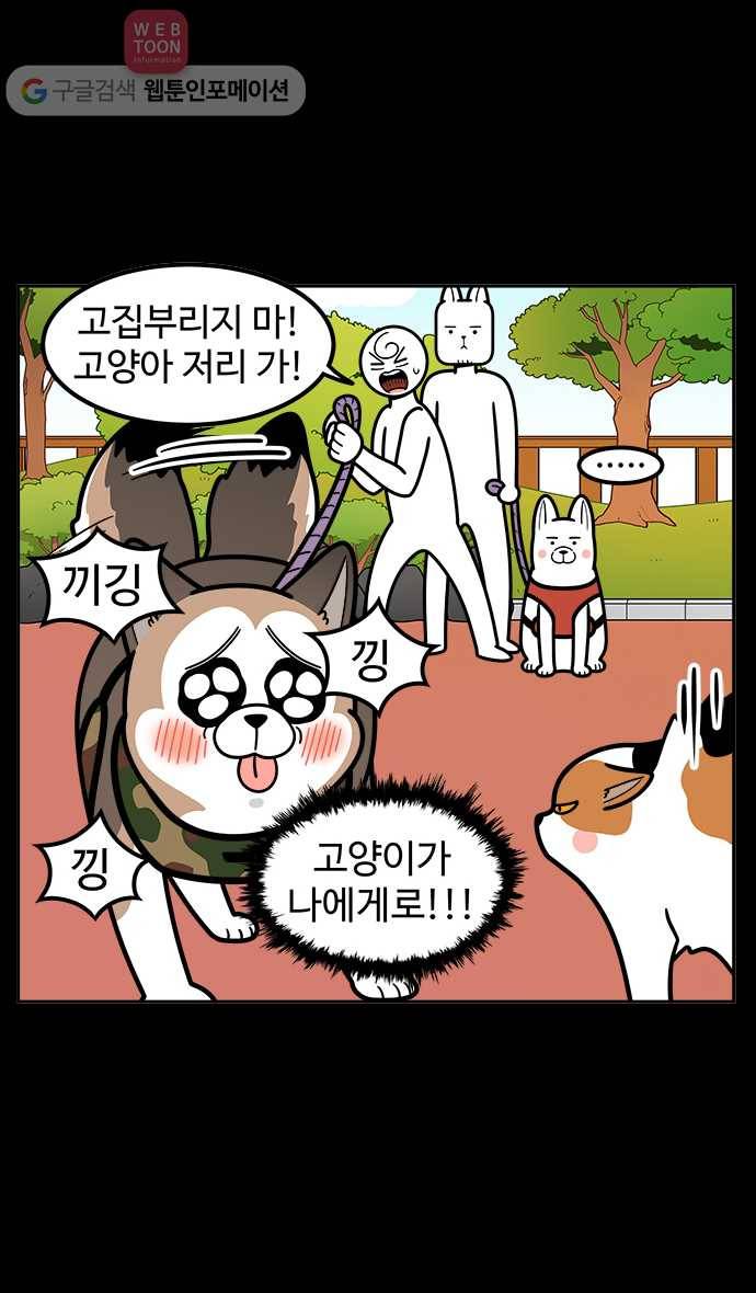 노곤하개 시즌2 8화 도시공원의 고양이들 (2) 6
