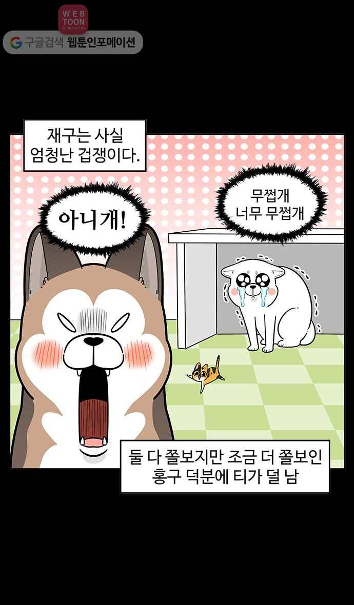 노곤하개 시즌2 14화 재구는 겁쟁이 2