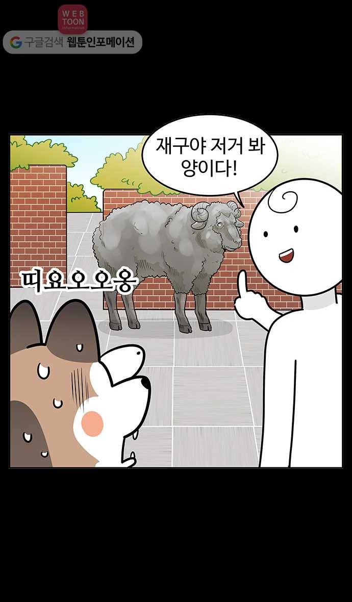 노곤하개 시즌2 14화 재구는 겁쟁이 5