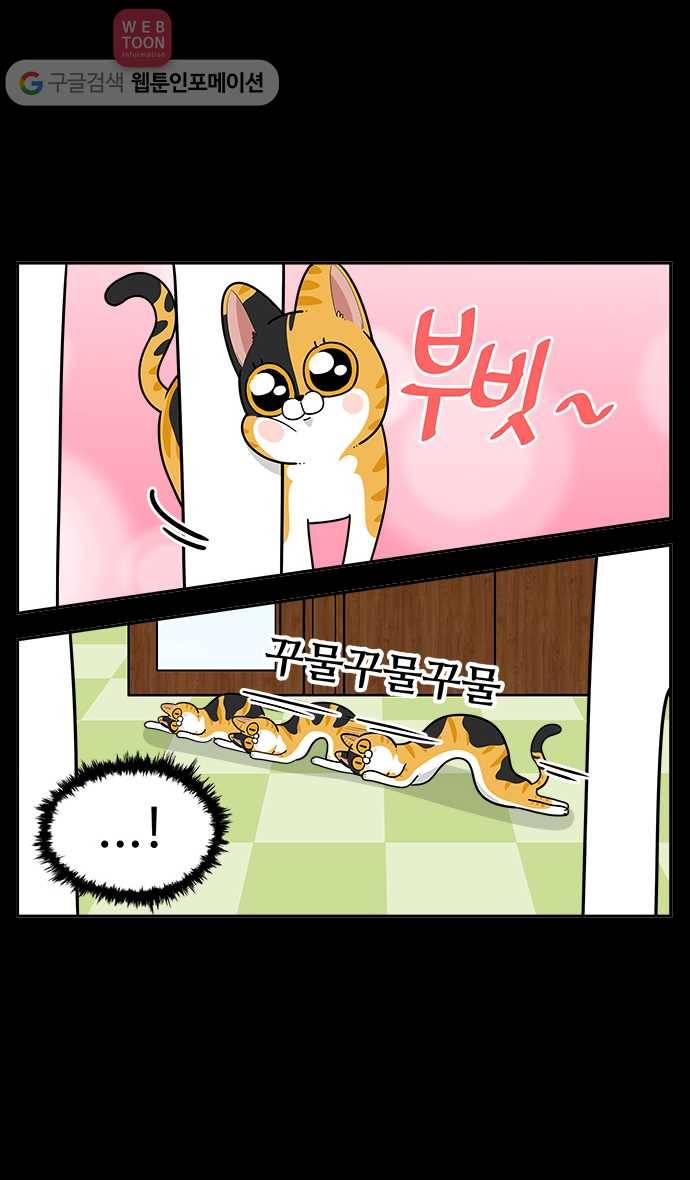 노곤하개 시즌2 26화 줍줍이의 중성화 (1) 5