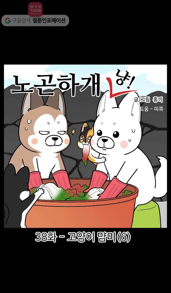 노곤하개 시즌2 38화 고양이 먐미 (6) 1