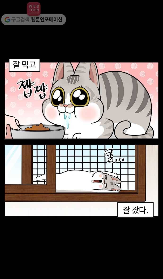 노곤하개 시즌2 38화 고양이 먐미 (6) 3