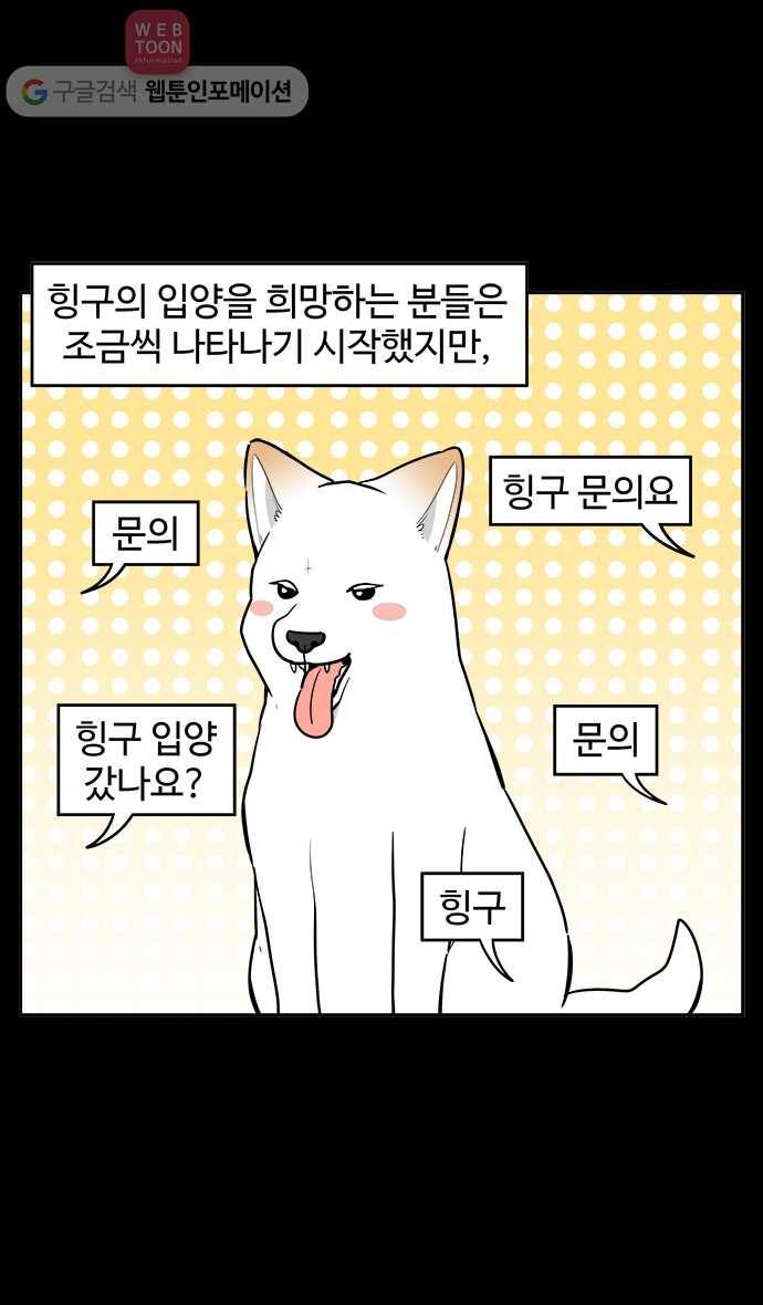 노곤하개 시즌2 69화 유기견 힝구 (5) 2