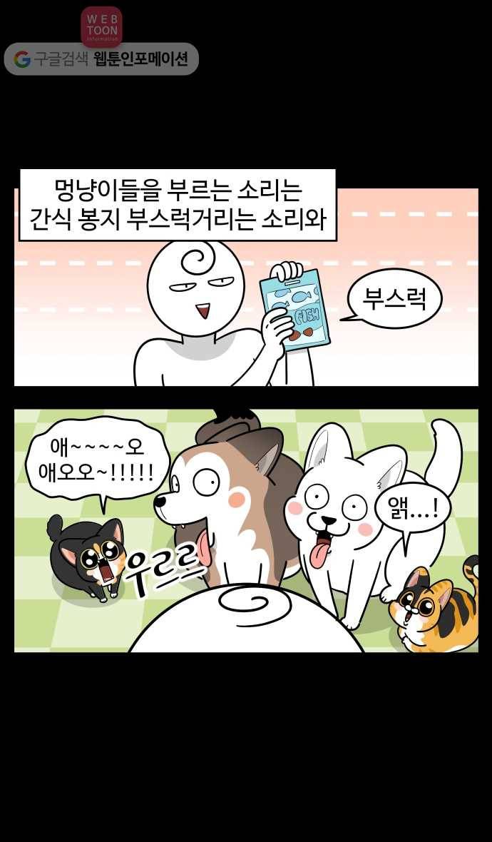 노곤하개 시즌2 96화 멍냥이의 빗질 2