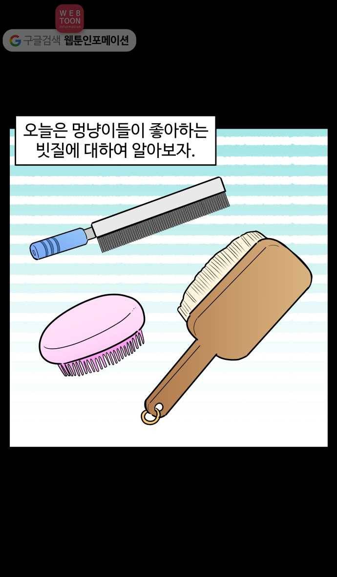 노곤하개 시즌2 96화 멍냥이의 빗질 4