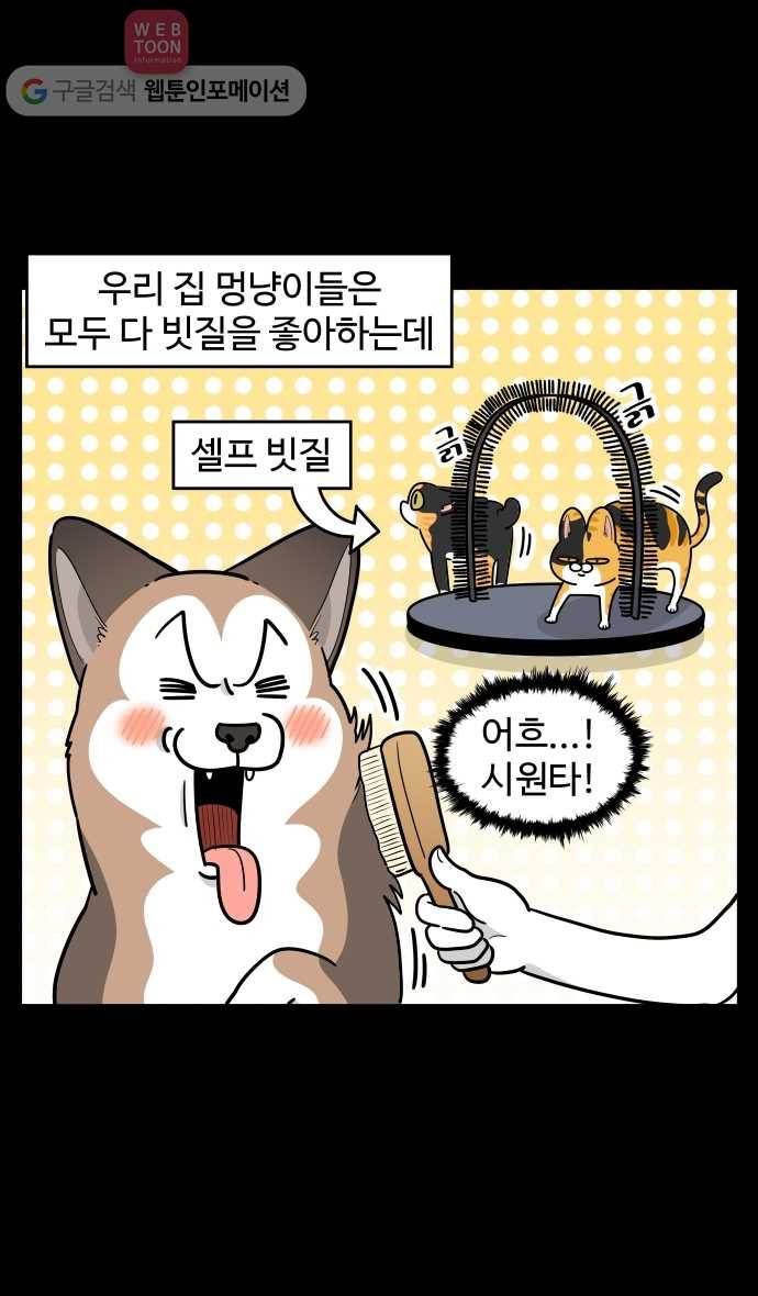 노곤하개 시즌2 96화 멍냥이의 빗질 5