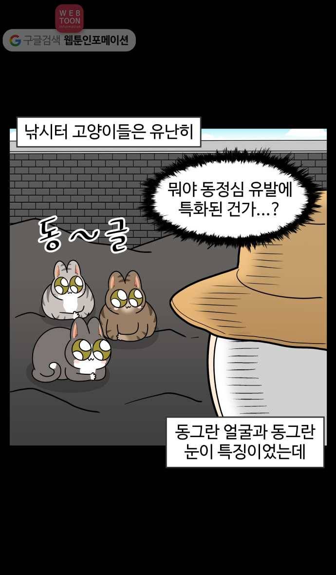 노곤하개 시즌3 4화 낚시터 고양이들(2) 2