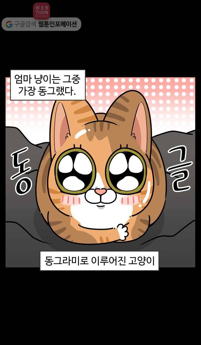 노곤하개 시즌3 4화 낚시터 고양이들(2) 3
