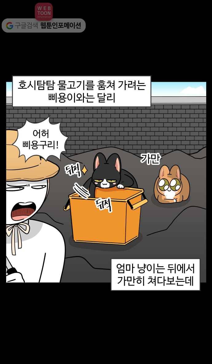 노곤하개 시즌3 4화 낚시터 고양이들(2) 4